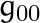 g_{00}