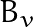 B_v