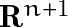\mathbf{R}^{n+1}