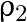 \rho_2