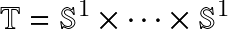 \[\mathbb{T}=\mathbb{S}^1\times\cdots\times\mathbb{S}^1\]